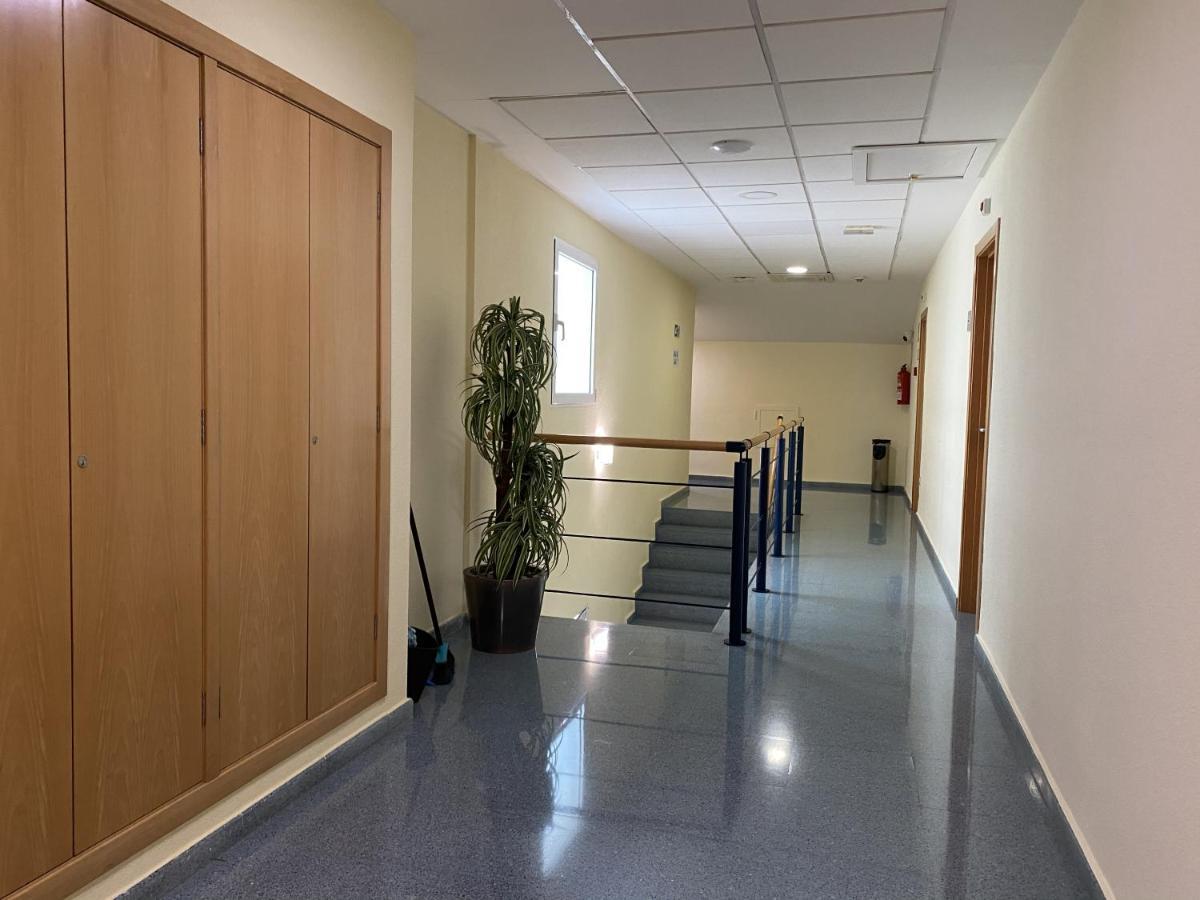 Residencia Mediterraneo San Vicente Raspeig Zewnętrze zdjęcie